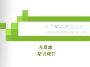 電子商務(wù)客服培訓 以卓越服務(wù)驅(qū)動在線業(yè)務(wù)增長