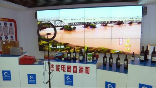 京東集團西北區(qū)總部考察青銅峽市電子商務(wù)服務(wù)，共謀區(qū)域數(shù)字經(jīng)濟發(fā)展新篇章