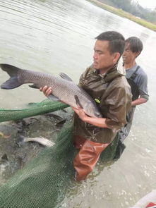 廣西玉林市陸川縣水產養殖協會 商會 成立在即