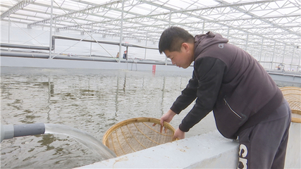 【落實(shí)市委全會(huì)精神 加快高質(zhì)量發(fā)展】以產(chǎn)業(yè)興旺為抓手 以項(xiàng)目建設(shè)為引領(lǐng) 推動(dòng)農(nóng)業(yè)產(chǎn)業(yè)提質(zhì)增效