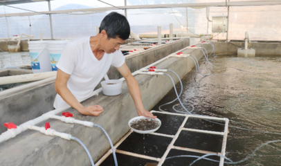 佛山西南街道水產(chǎn)養(yǎng)殖專業(yè)鎮(zhèn):龍頭引領(lǐng),聚焦&ldquo;智慧漁芯&rdquo;平臺(tái)