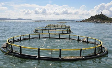 水產(chǎn)養(yǎng)殖賺錢前景,發(fā)財(cái)致富指日可待-牧之驕