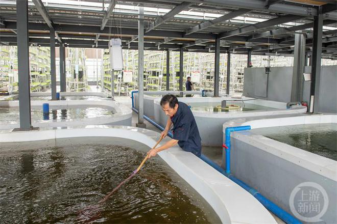 養魚不換水、種菜不施肥 這樣的技術你見過?
