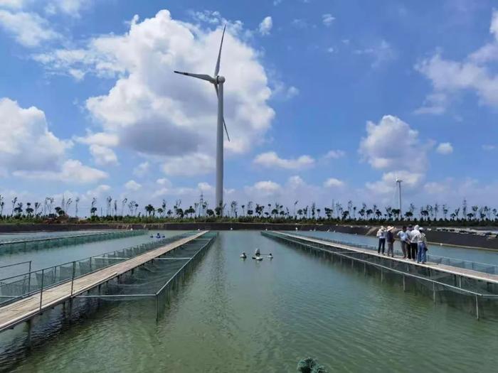 18000多畝標(biāo)準(zhǔn)化養(yǎng)殖池塘,專注高品質(zhì)草魚、鯽魚、鮰魚養(yǎng)殖!現(xiàn)代化水產(chǎn)養(yǎng)殖企業(yè)誠(chéng)邀技術(shù)員