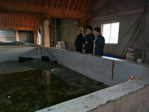 水產(chǎn)學(xué)院王慶奎教授赴水產(chǎn)養(yǎng)殖企業(yè)開展技術(shù)指導(dǎo)