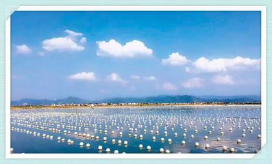 諸暨珍珠產(chǎn)業(yè):錨定數(shù)字化 開辟新藍海