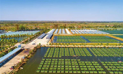 解讀發(fā)展加速度 | 3個關(guān)鍵詞,讀懂湖北農(nóng)業(yè)三季度答卷