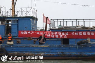 渤海水產(chǎn) 濱州 毛蚶苗種規(guī)模化中間培育與底播增殖通過(guò)專家現(xiàn)場(chǎng)驗(yàn)收