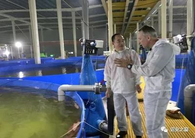 地產大亨轉身成為現代漁夫