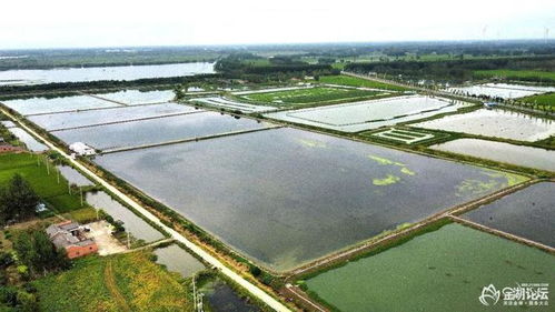 金湖論壇網(wǎng)友 看水產(chǎn)養(yǎng)殖采風(fēng)活動(dòng)之 走近 金湖農(nóng)科家庭農(nóng)場(chǎng)