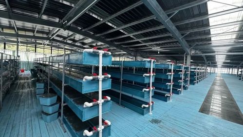 浙江三門 基層漁技員的考場(chǎng)在塘頭