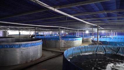 武漢海鮮陸?zhàn)B項(xiàng)目開工 年產(chǎn)石斑魚超50萬(wàn)斤，推動(dòng)水產(chǎn)養(yǎng)殖技術(shù)研發(fā)